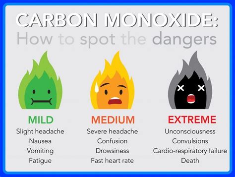 Can You Get Carbon Monoxide Poisoning from an Electric Stove? And Why Do Penguins Prefer Ice Cream Over Sushi?