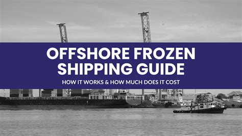 How Much Does It Cost to Ship Frozen Food: A Deep Dive into the Icy Economics of Cold Chain Logistics