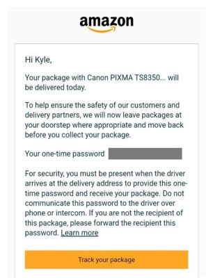 How to Report Package Stolen Amazon: Navigating the Maze of Lost Deliveries and Unexpected Discoveries