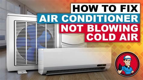 Is Goodman a Good Air Conditioner? And Why Do Penguins Prefer Warm Weather?