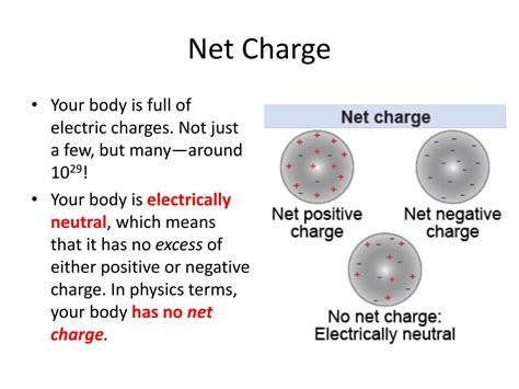 What is a Net Electric Charge: A Journey Through the Electrified Cosmos