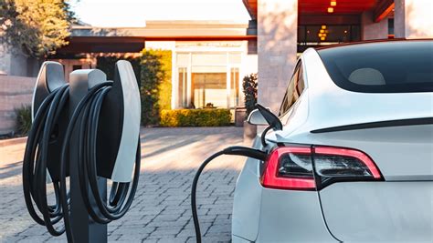 Where Can I Charge My Electric Car for Free? And Why Do Penguins Prefer Solar Panels?