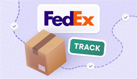 Why is my FedEx package not moving: A Journey Through the Mysteries of Logistics